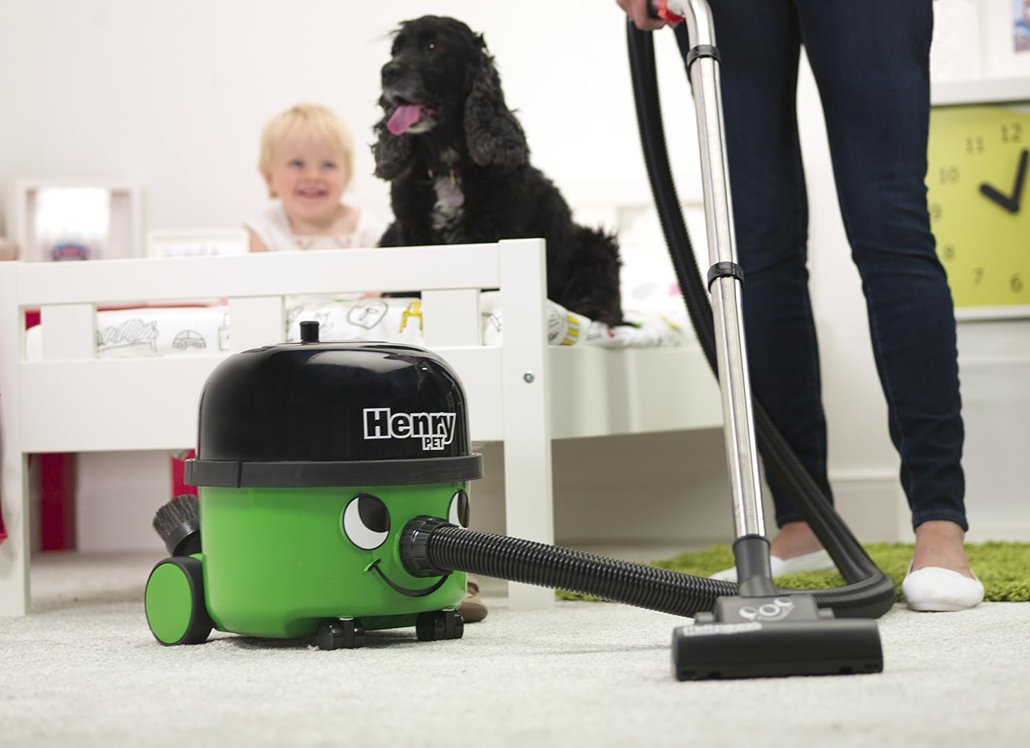Henry Pet PET200 Bagged Cylinder Vacuum, 9 Litre, 620 Watt, Green.