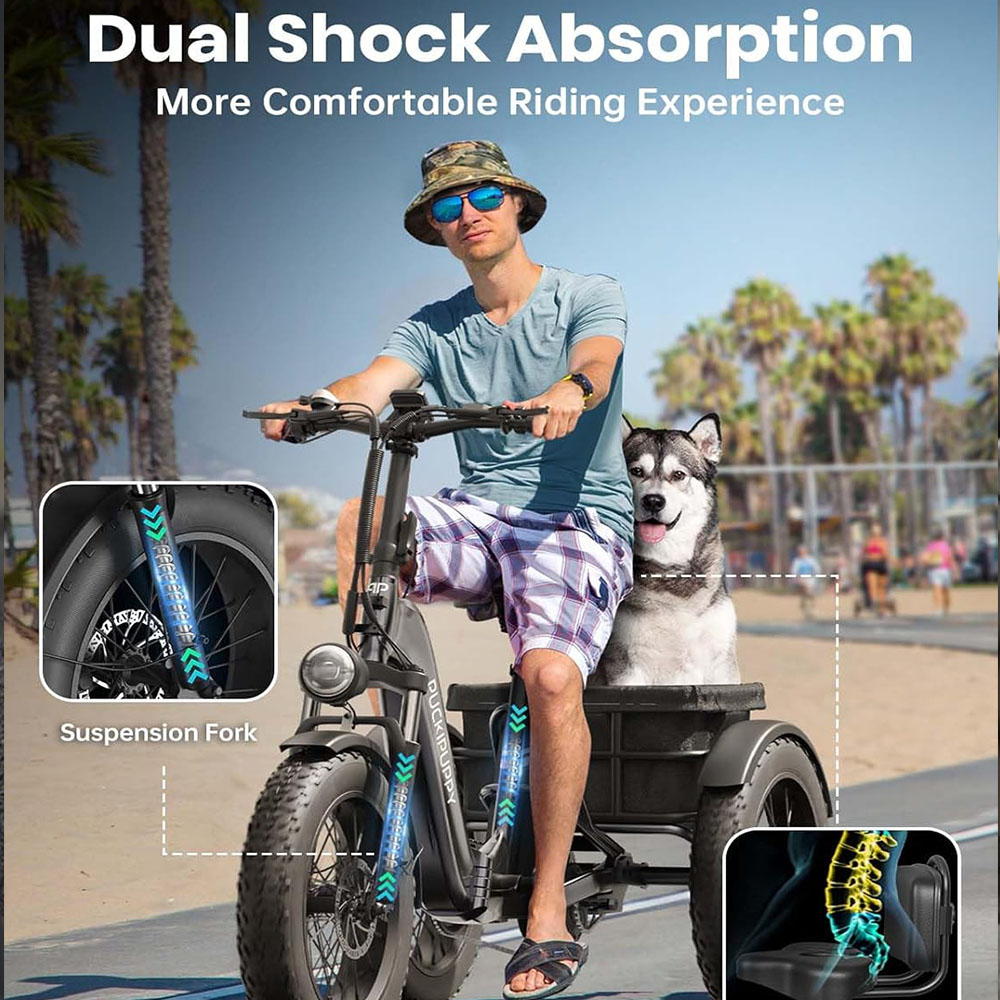 Electric Trike for Adult with 750W Motor, 48V 18AH Cells Battery, Pickup Class 500 LB Load Electric Tricycle