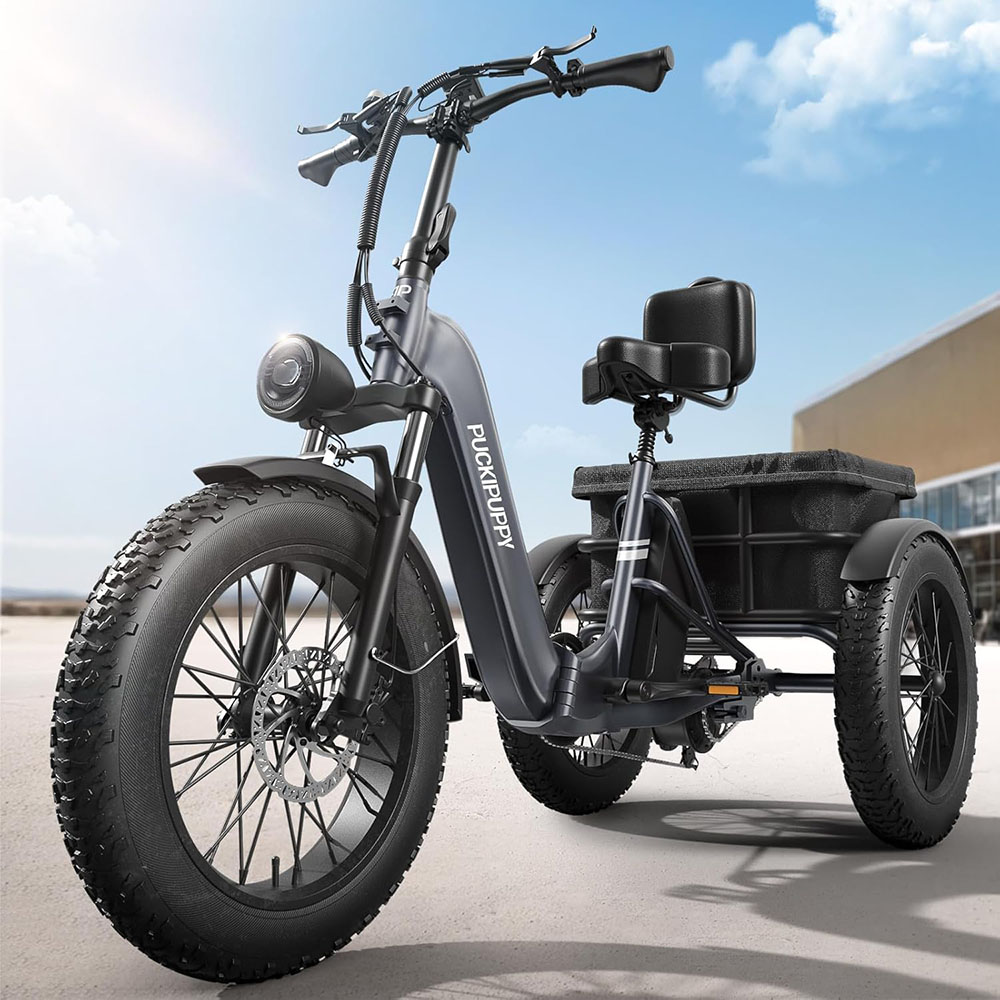 Electric Trike for Adult with 750W Motor, 48V 18AH Cells Battery, Pickup Class 500 LB Load Electric Tricycle
