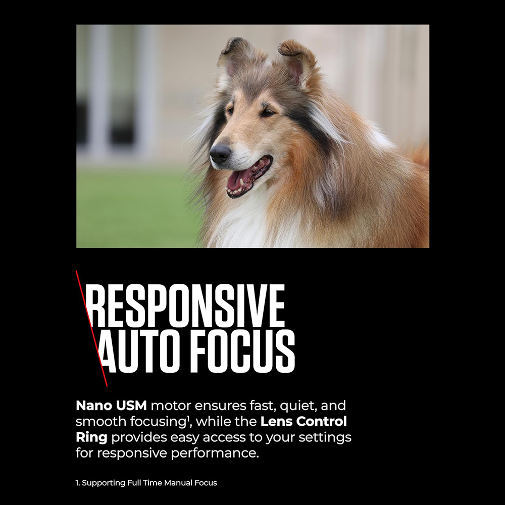 Canon RF 100-400mm F5.6-8 IS USM Lens