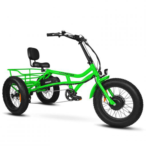 Addmotor Motan Electric Tricycle Adult, 750W 48V 17.5Ah Removable Battery, 20 Inch Fat Tire 3 Wheel Fat Tire Electric Bike, M-360 Electric Tricycle 350 lbs Carry Back Basket and Bag